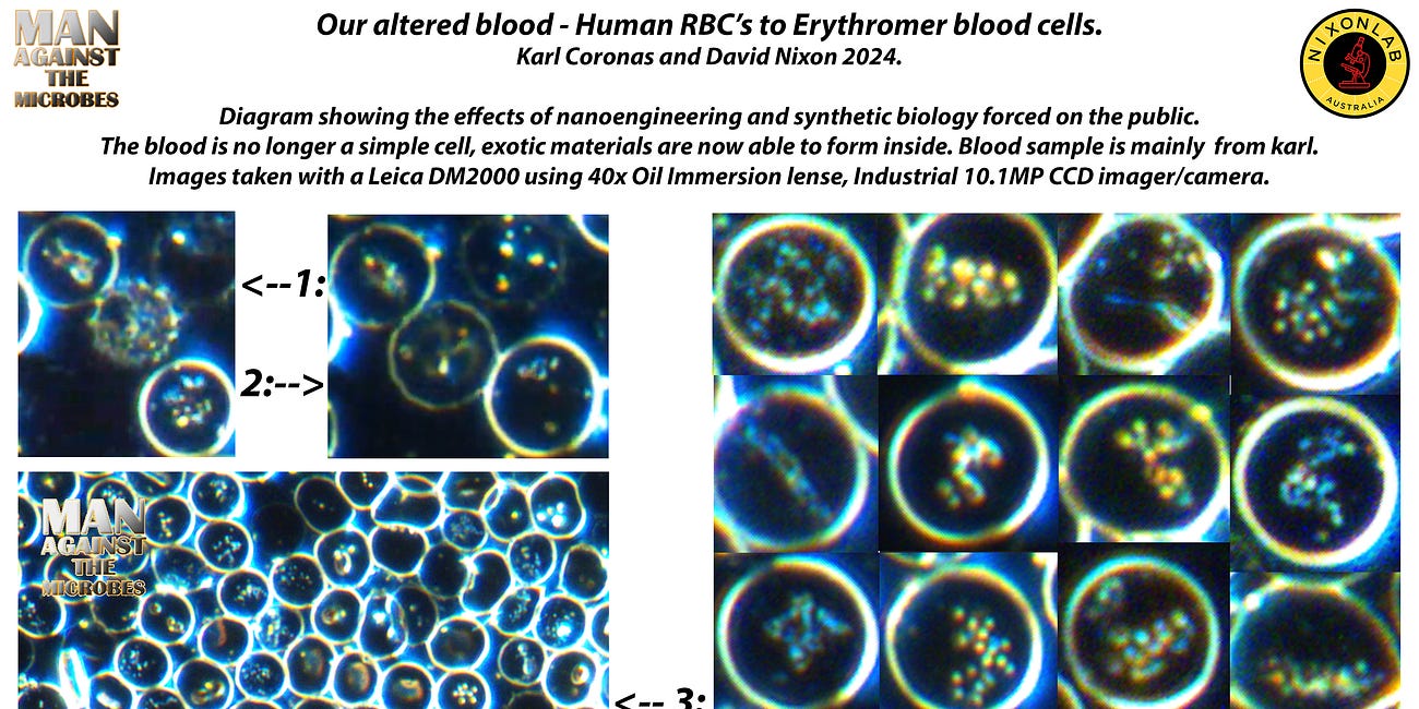 The process of altering our blood cells. See an Erythromer form in this video.