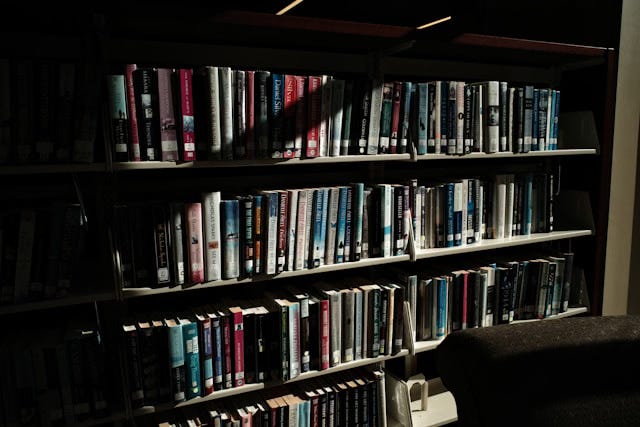 The Soul Needs Books