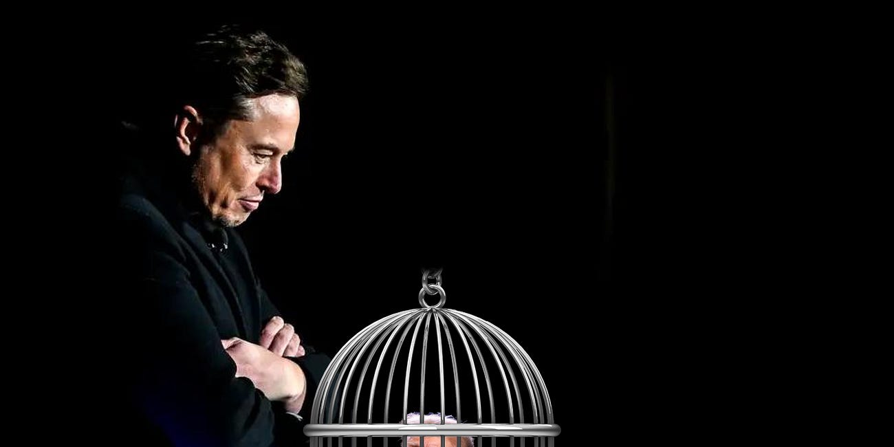 Things Musk (and Trump) Did... Day 38 | Blog#42
