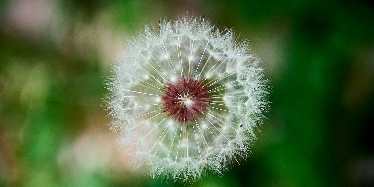 Code Smell 270 - Boolean APIs