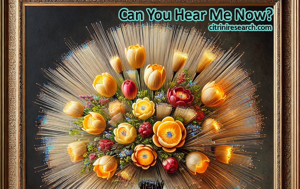 Can You Hear Me Now?