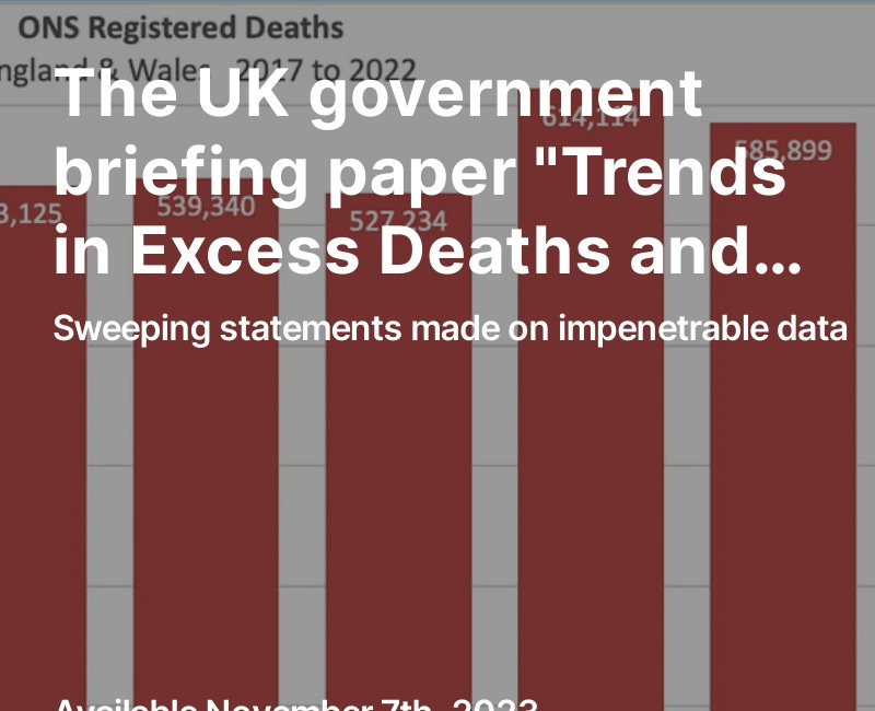 [Correction] The UK government briefing paper "Trends in Excess Deaths and Covid-19 Vaccines."