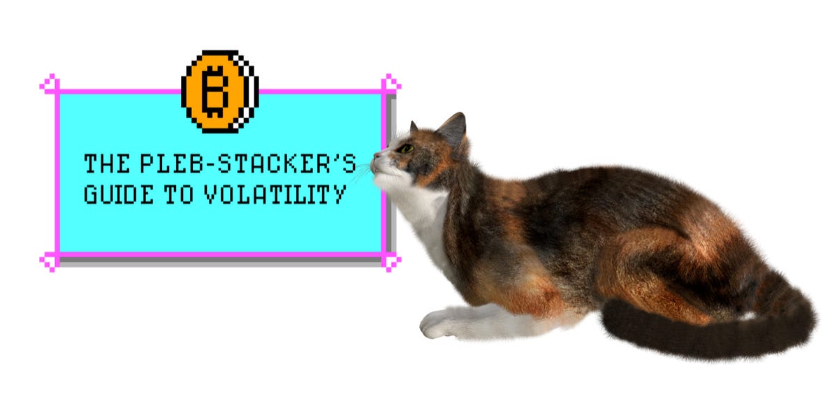 The Pleb-Stacker's Guide to Volatility