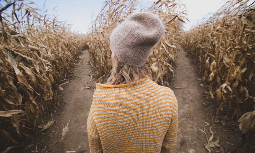 Quotas, Activist Scholarship, and Political Bias in Psychology