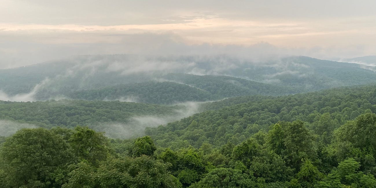 Mist