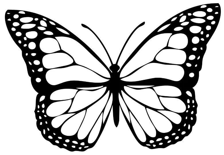 Re: Oil/Macro-This Butterfly Has Big Wings.
