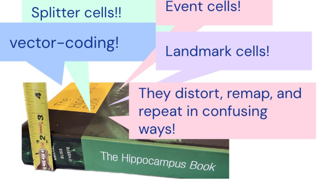 Space is a sensory-motor sequence in the hippocampus