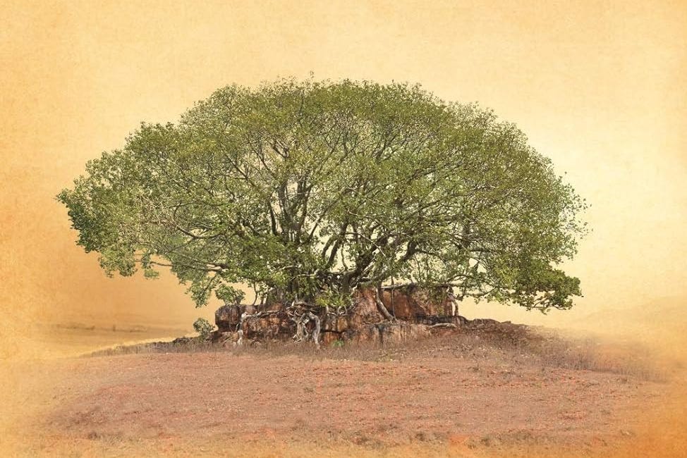 The Beautiful Tree #1 - What was British Education Like? 