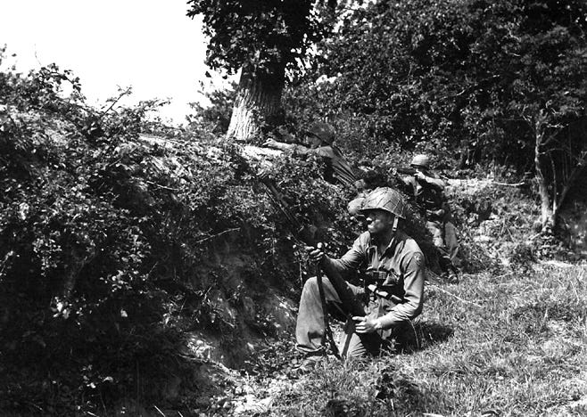 Death in the Hedgerows