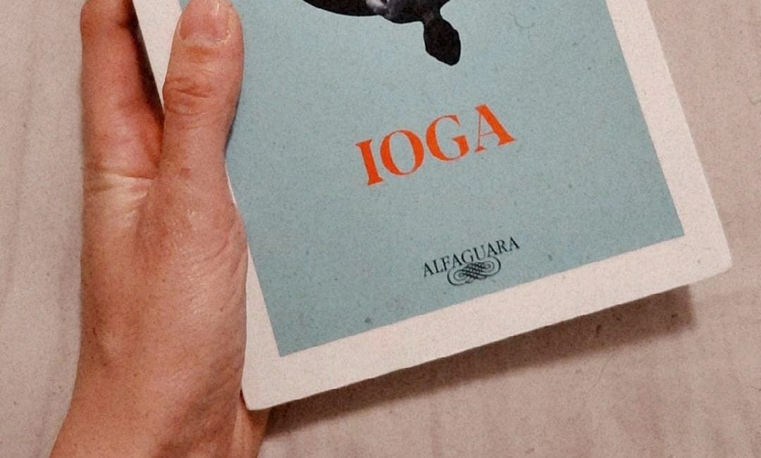 "Ioga", de Emmanuel Carrère