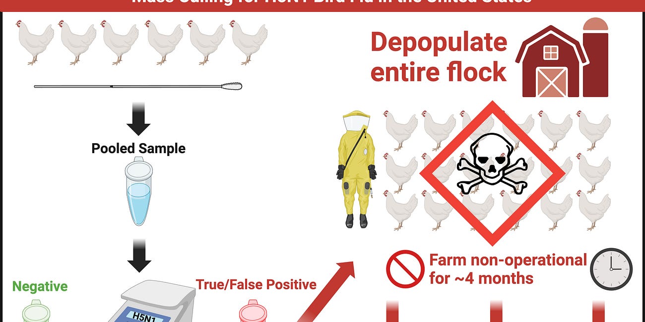Mass Depopulated Poultry Farms Remain Non-Operational for ~4 Months After H5N1 Pooled PCR Detections