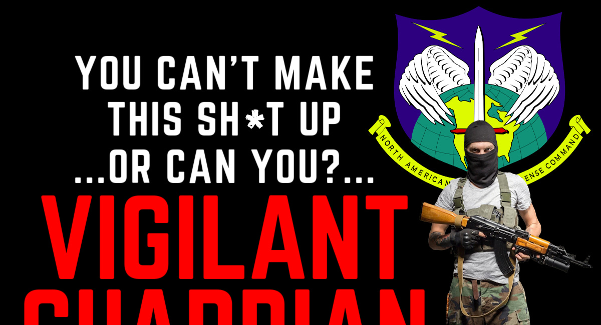 YOU CAN’T MAKE THIS SH*T UP… or can you? VIGILANT GUARDIAN [PART 3]