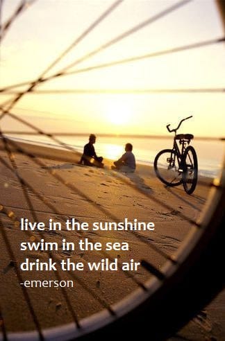 Live In The Sunshine, Swim In The Sea, Drink The Wild Air