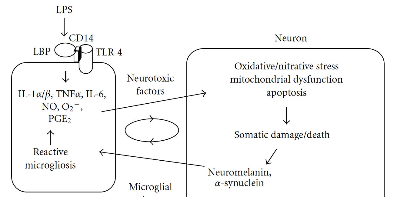 Endotoxin Binding Protein as a proposed Treatment for Parkinson's Disease