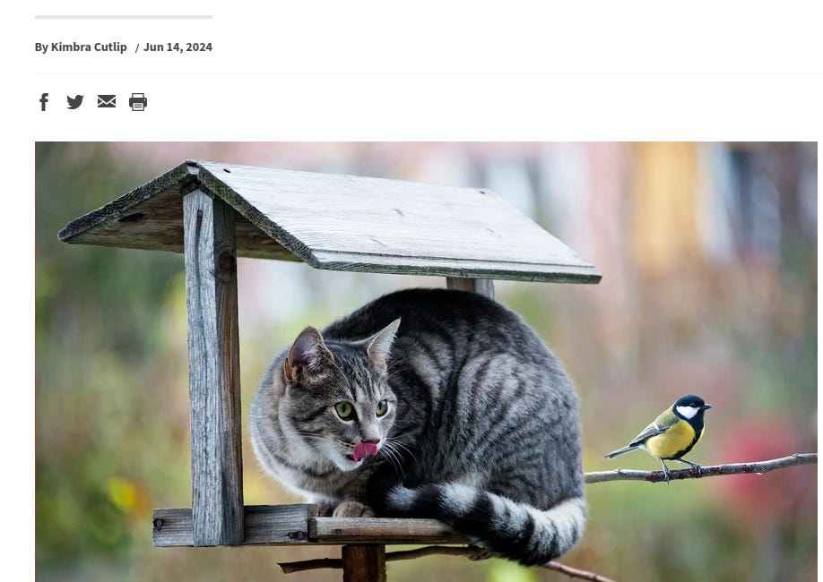 The Bird Flu SCAM: Evil “Experts” Want To Murder Our CATS