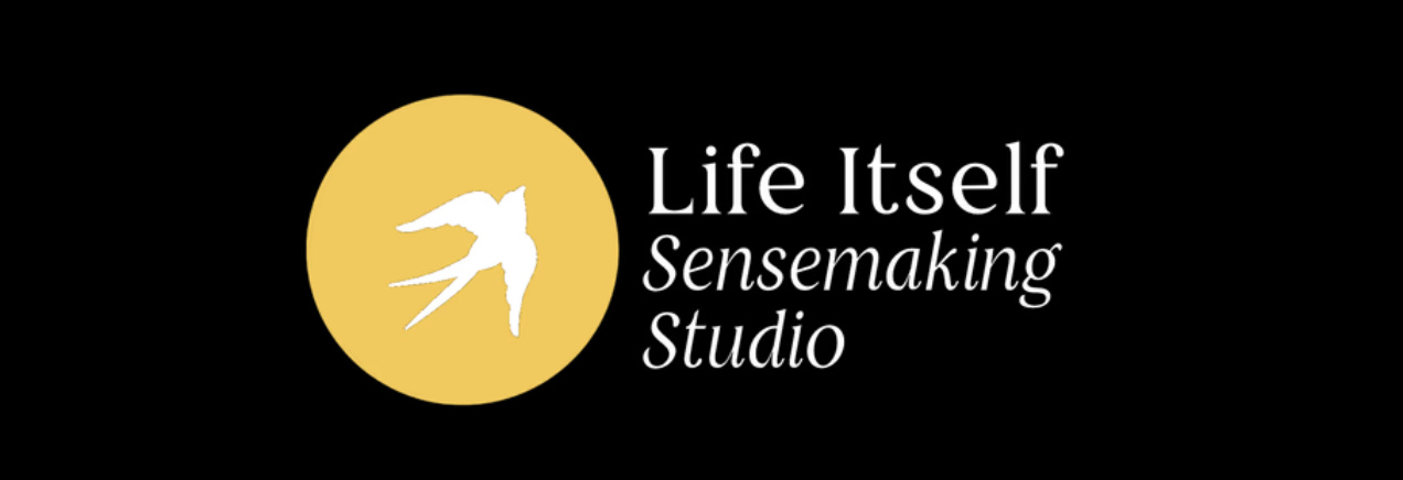 Sensemaking Studio: Find Out More – A Welcome Event
