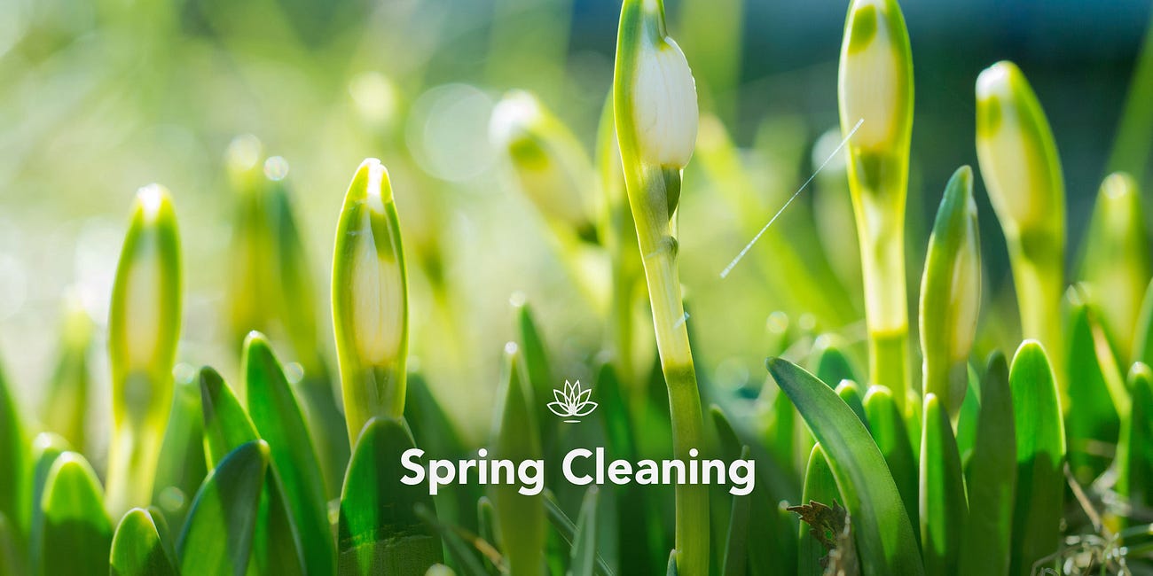 Spring Cleaning