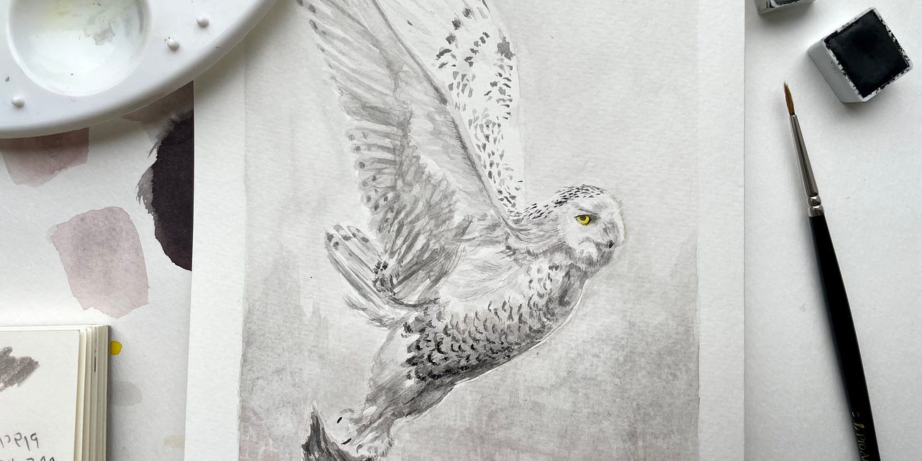 Sketches, Swatches and a Snowy Owl 