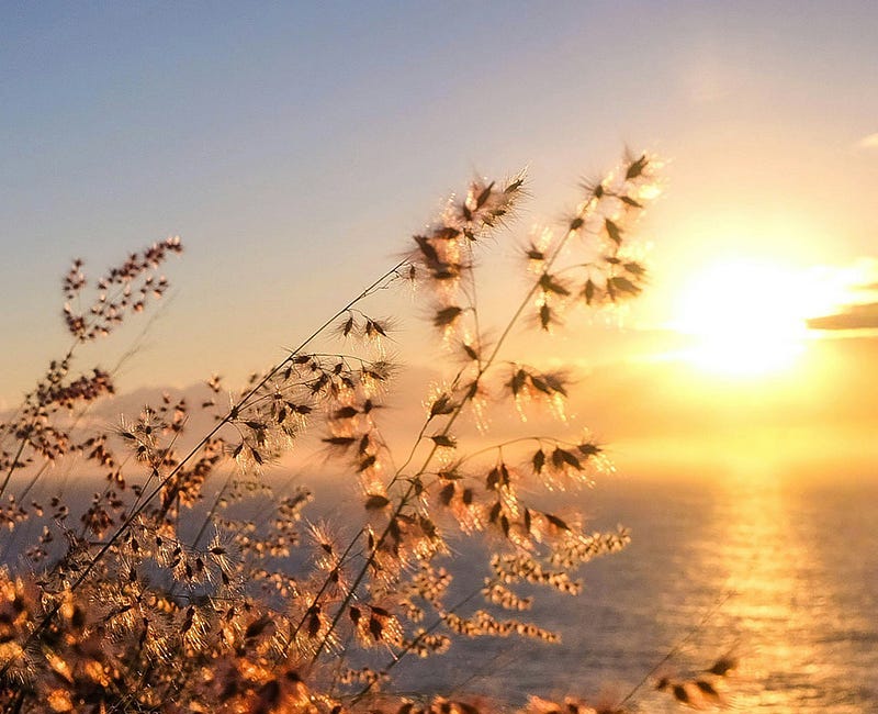 How to Start the Day Positively?