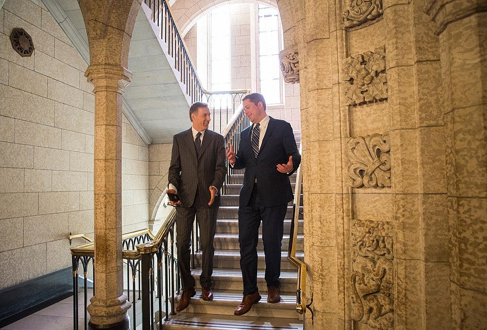Federal Election 2019: Right-wing parties and leadership