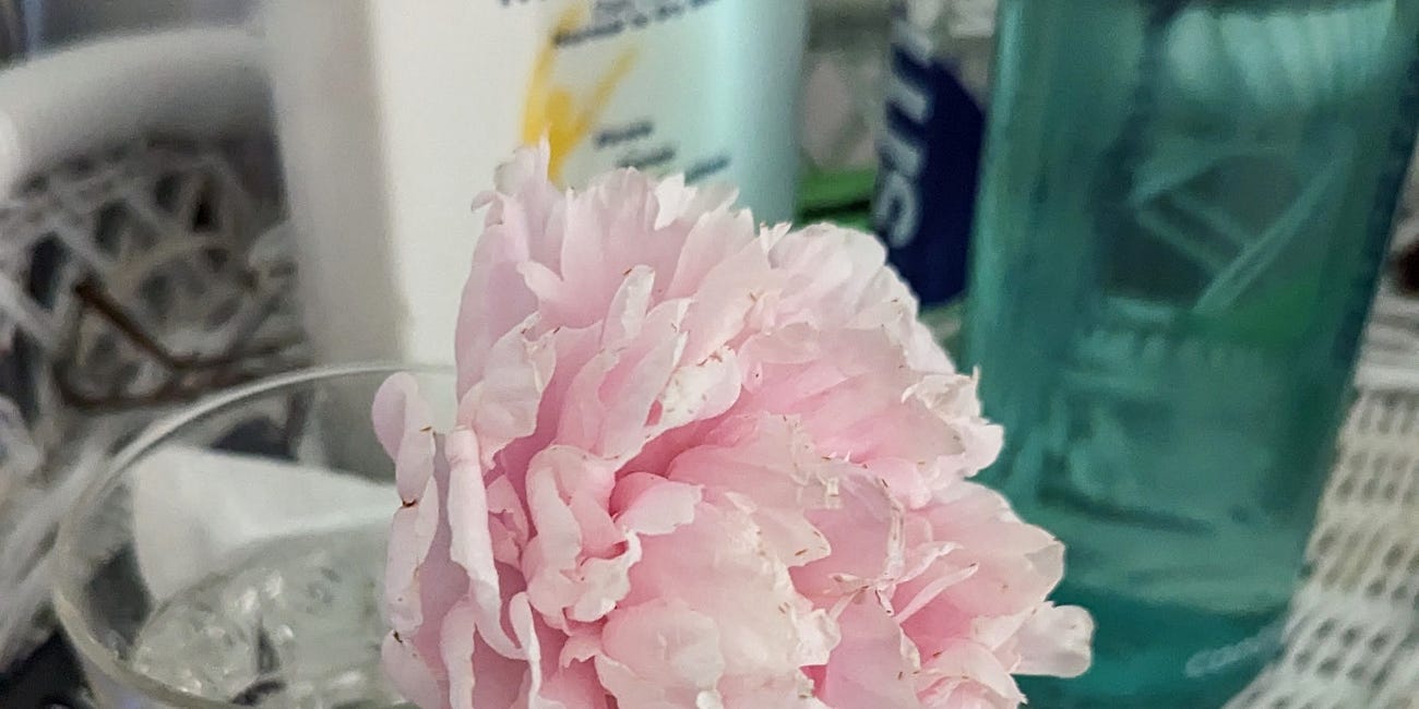 The Last Peony
