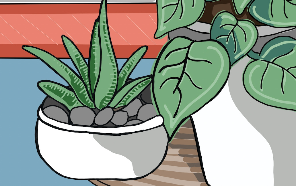 The Beauty & Magic of Indoor Gardens