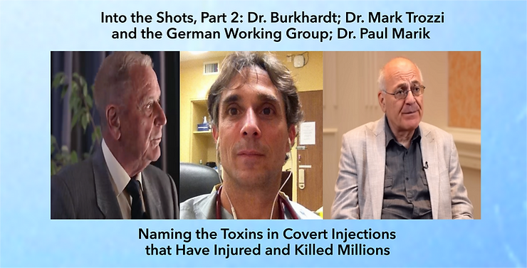 Findings and Cures for the COVID 'Vaccines', Part 2: Dr. Arne Burkhardt; Dr. Mark Trozzi and the German Working Group; Dr. Paul Marik and the FLCCC