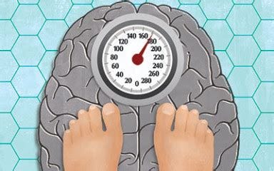 Fat body, starved brain