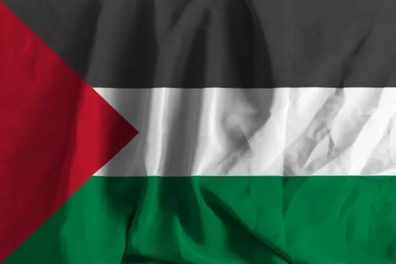 DEBATE: Questions for Any Pro-Palestinian
