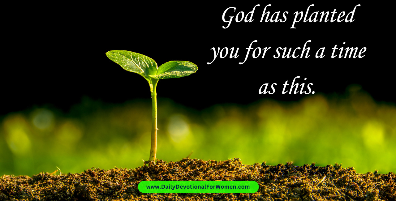 Seed in the Ground • Daily Devo 47
