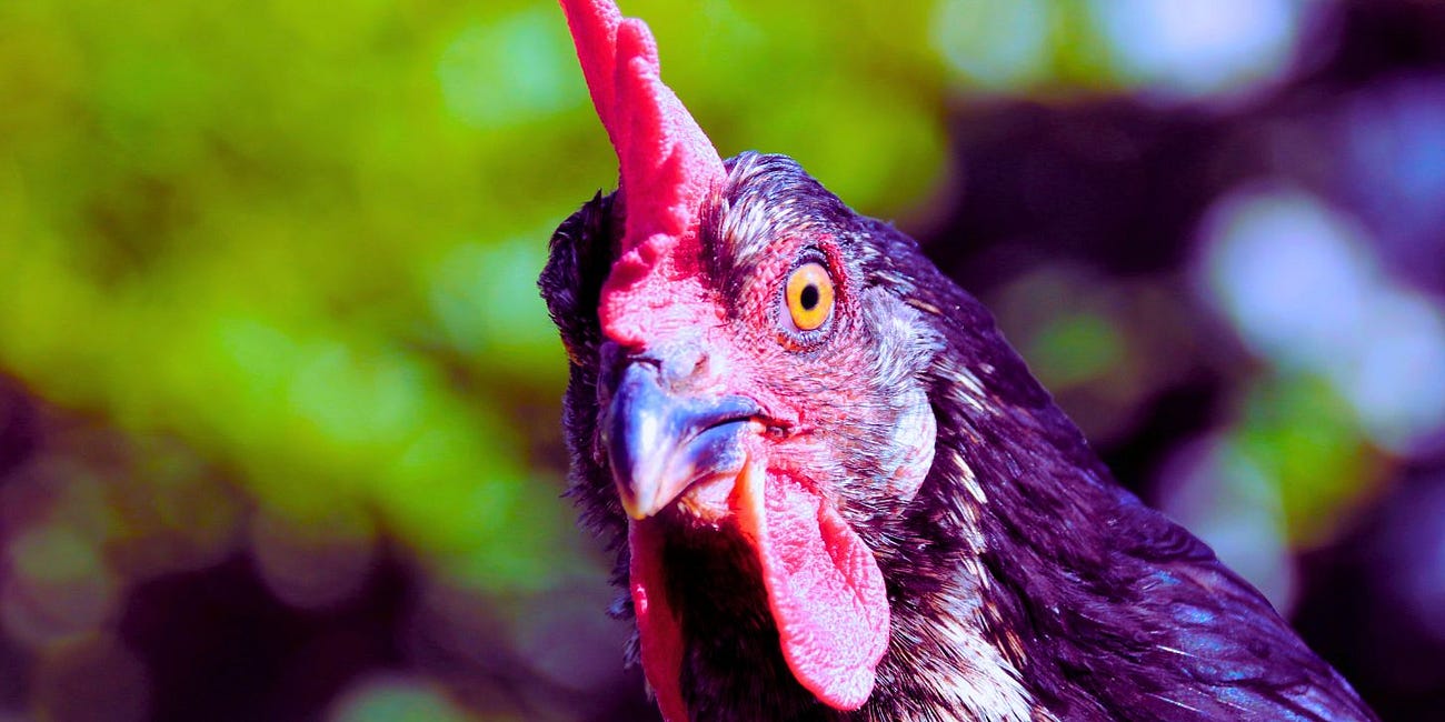 State, Local Health Departments Count Bird Flu Infections 'Even If They Turn Out Later Not to Be Confirmed': CBS News