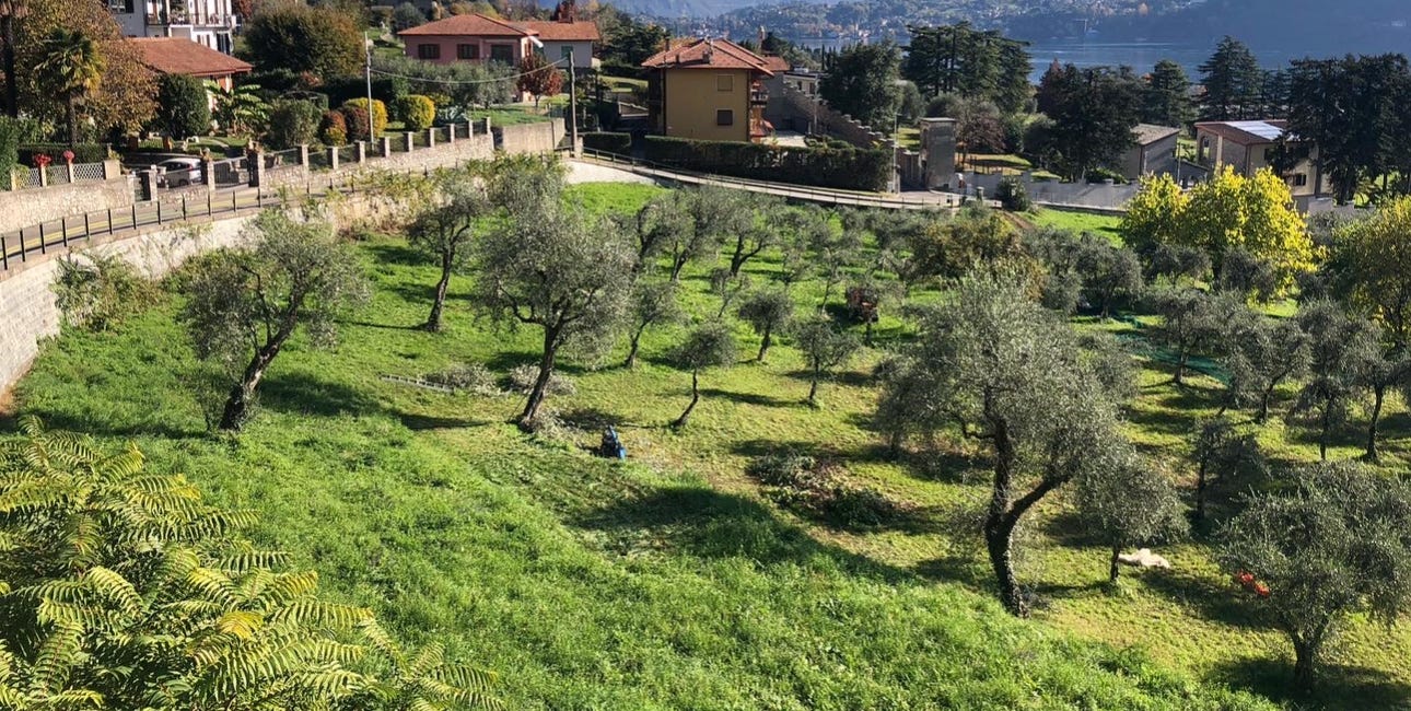 Daniella (Part 13, iii) -- Slovenia — Americans Abroad, Hannah's Search for Daniella from multiple perspectives 
