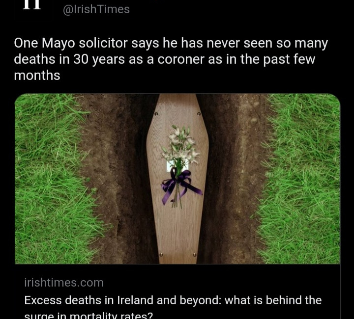 Dissecting excess deaths
