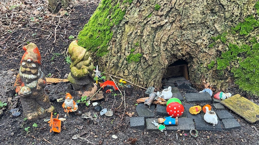 A Fairy Tree Encounter: Bridging Worlds in the Island Woods