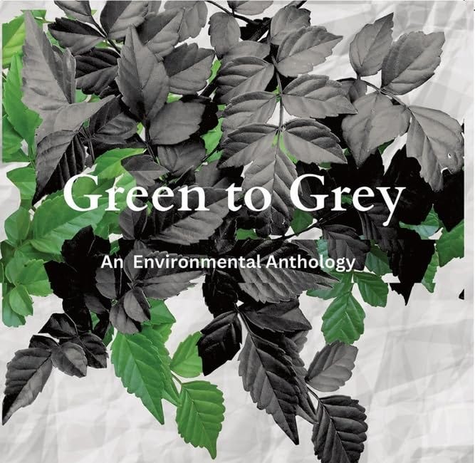 “Green to Grey” Explores Environmental Impacts Through Short Fiction