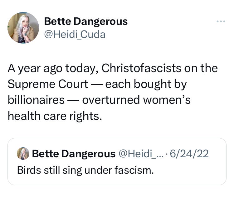 ‘Birds Still Sing Under Fascism’ - A Year Since the Fall of Roe