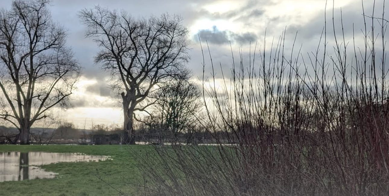 Inside Salisbury: Here's some great fun half-term events for family fun