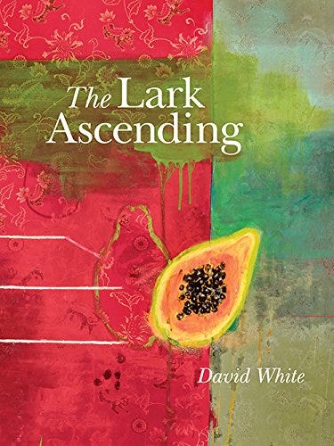 Interview with David White