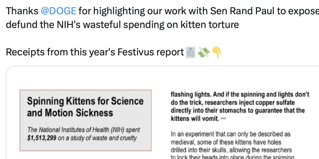 The NIH is Funding Kitten Torture