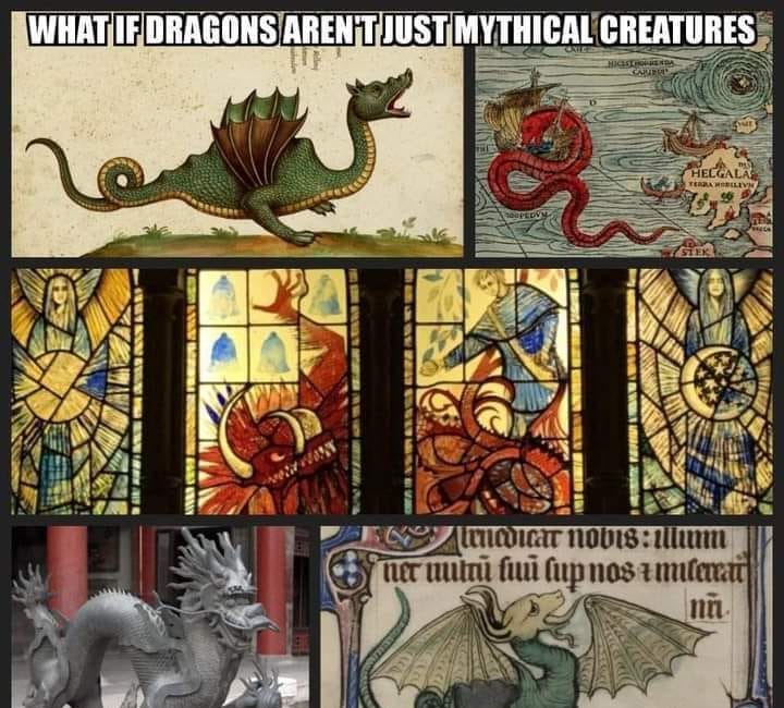 MEME DROP #207: What If Dragons Aren’t Just Mythical Creatures 