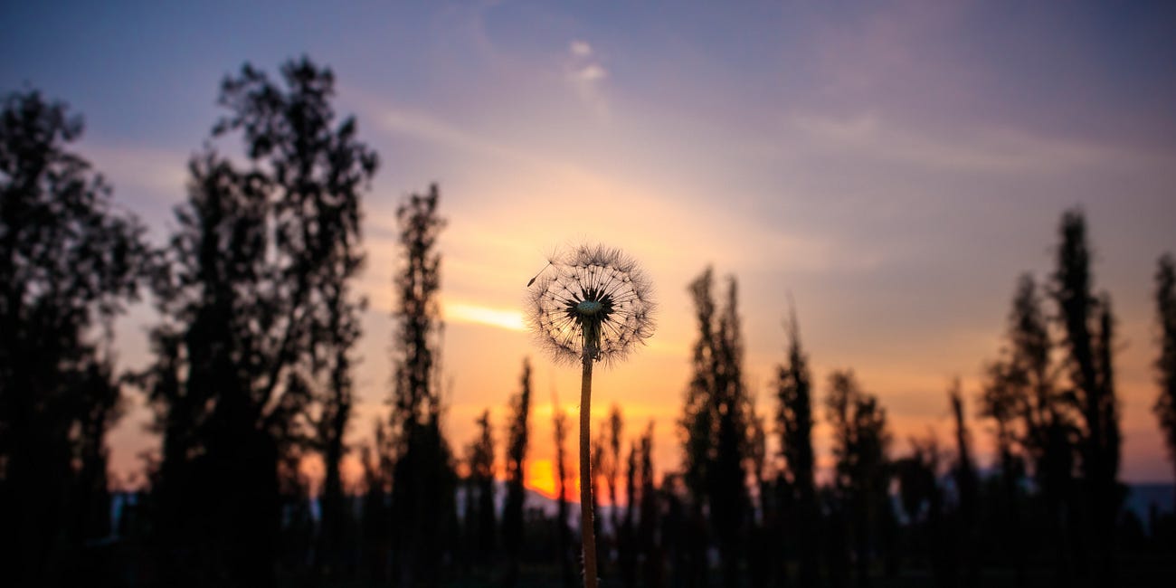 Midsummer