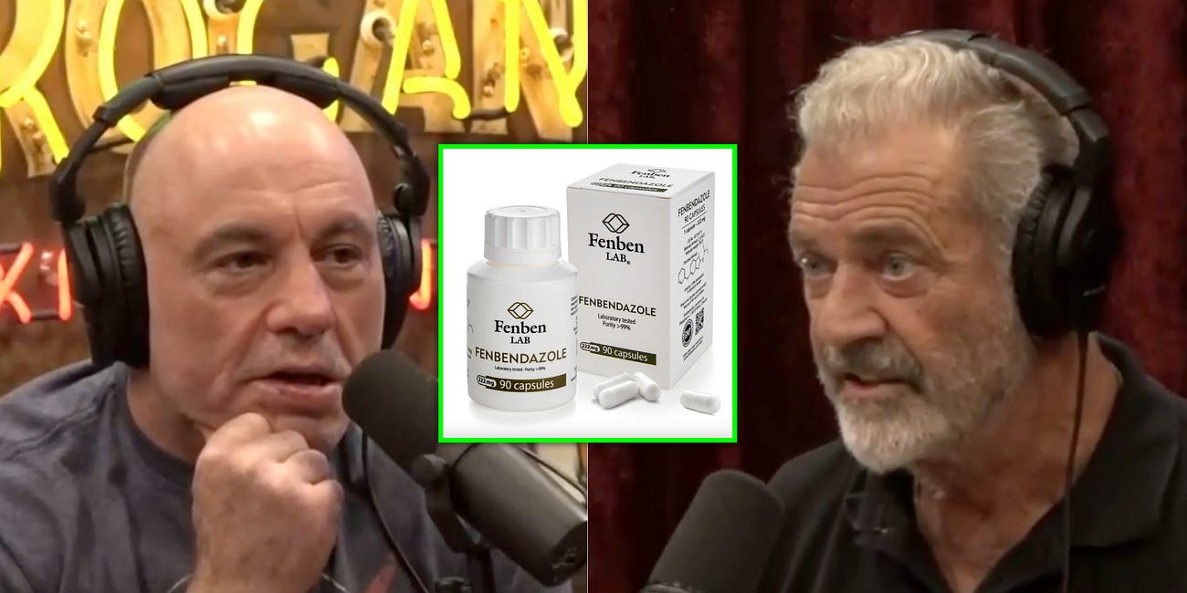 Mel Gibson Drops Two Medical Bombshells on the Joe Rogan Podcast