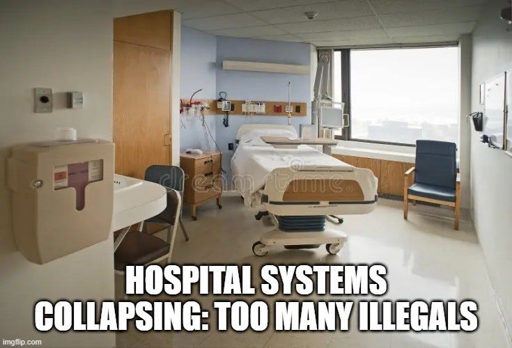 Hospital Systems Collapsing: Too Many Illegals