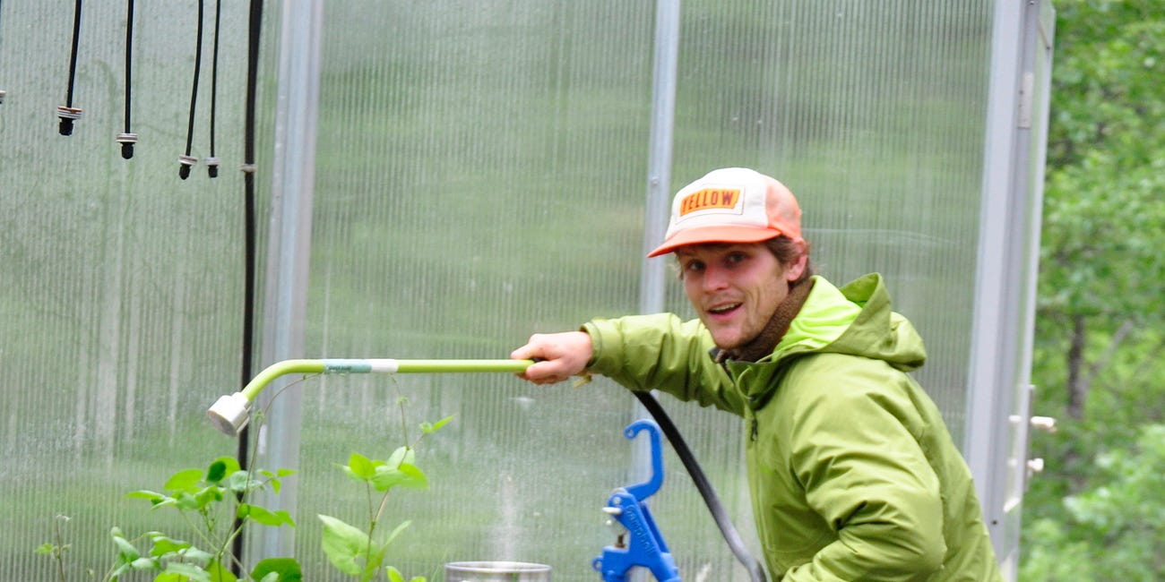 🌿 How We Grow Our Transplants From Seed At Home