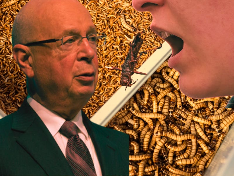 They Do Want You to "Eat the Bugs"