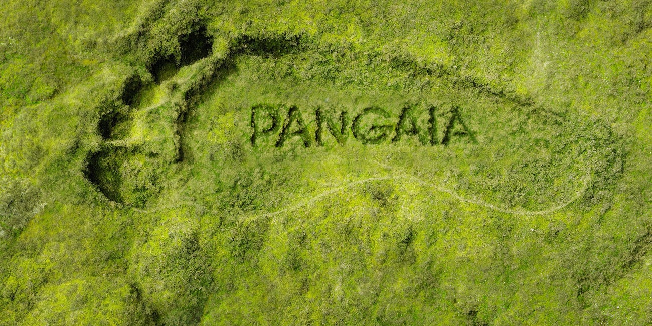 L'art de formaliser une vision avec Pangaia 