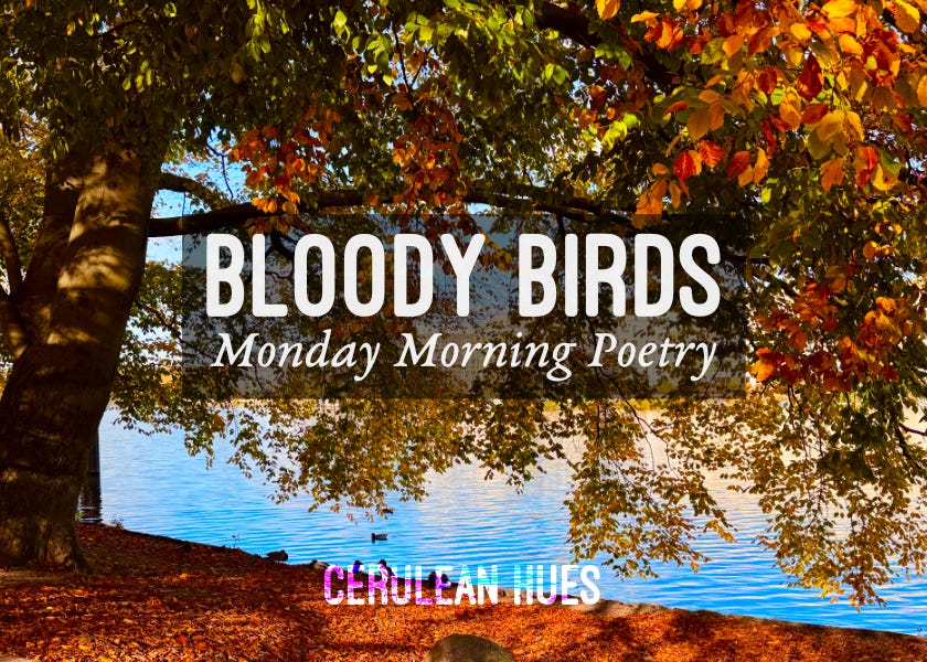 Bloody Birds - Monday Morning Poetry