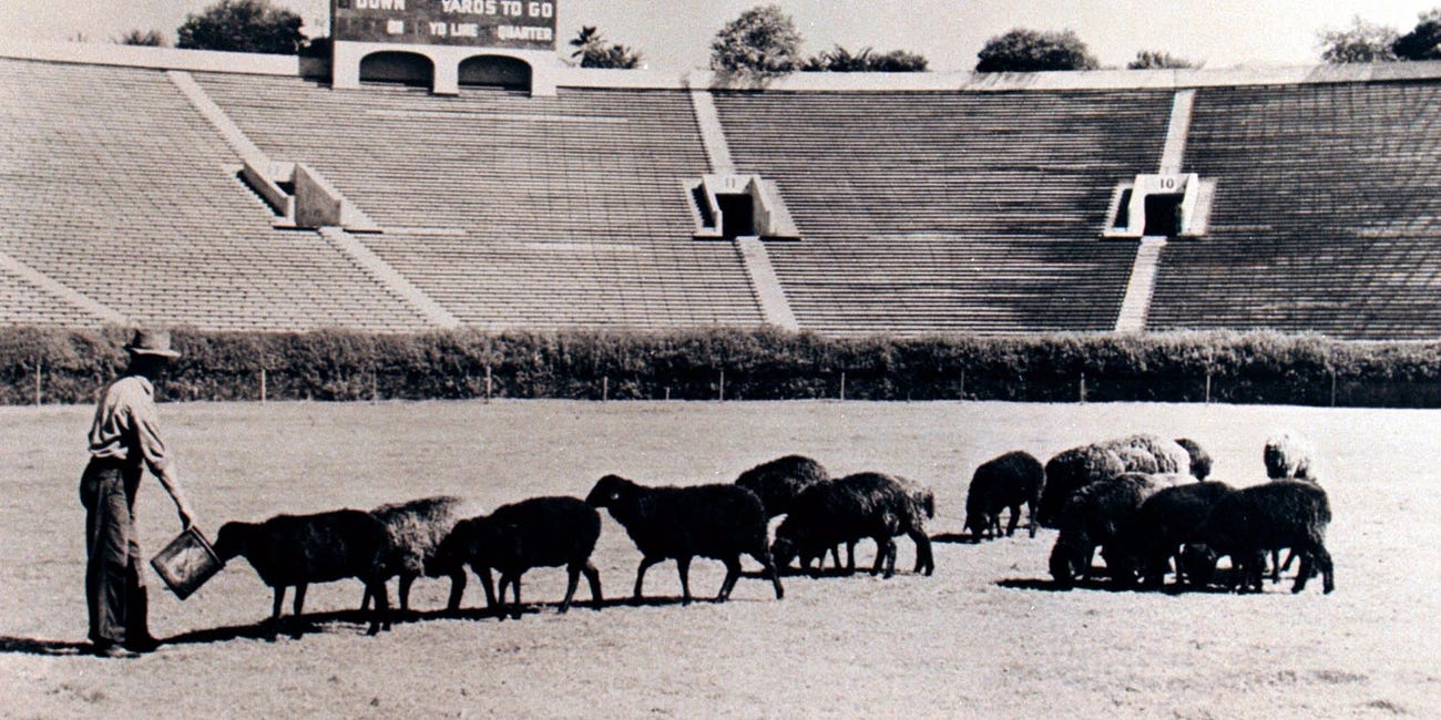 Today's Tidbit... Mowing Early Football Fields