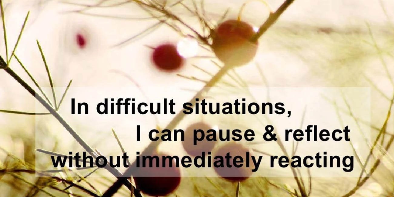In Difficult Situations, I Can Pause and Reflect Without Immediately Reacting