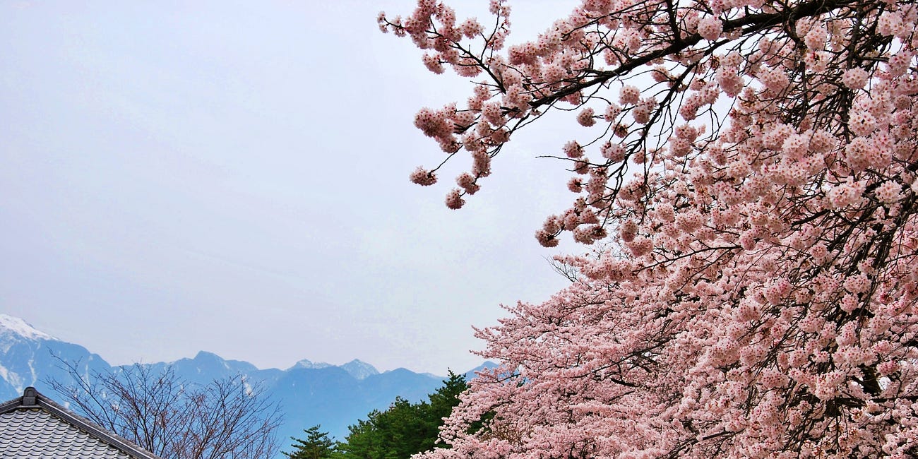 5 Concepts Japonais qui ont changé ma vie